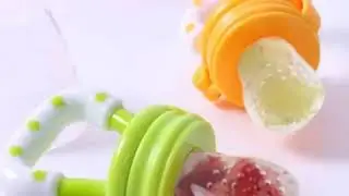 Fresh Food Nibbler Baby Pacifier
