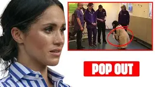 Video Shows Fake Pregnancy! The Mayhew Animal Home Volunteer Saw Meghan's Moonbump Pop Out