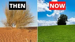 How Spain is Turning it's Desert Into a Farmland Oasis