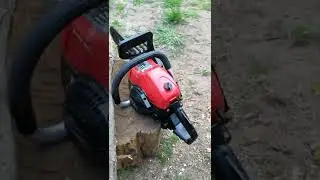 Einhell GC PC 1235 I