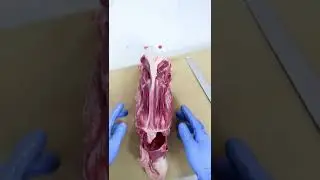 Разделываем целую утку
