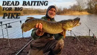 BIG  PIKE turns up ,blanks are forgotten ,pike fishing uk .hdaa