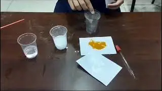 Activity of Respirometer(turmeric)by Pratham class 10