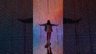 Things to do in Japan #teamlab #tokyo #teamlabborderless #japan #digitalart #light #digital #travel