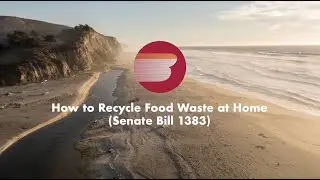 How to Recycle Food Waste at Home