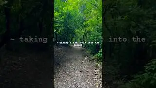 Deep Forest Adventure: A Walk into the Wild 🌿🦉 #NatureLovers #travel #hikingpath #nature
