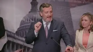 Ted Cruz accuses the Democrats of trying to 