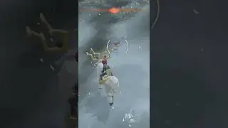 Finding a Shiny Drifblim