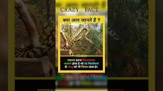 #crazyfact #shorts #youtube #respect #youtubeshorts #snake