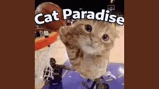 The One True Cat