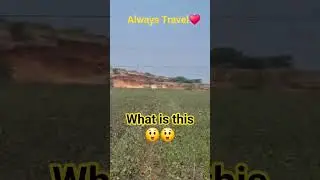 What is this😲😲always travel&hearts;️#tranding #traveling #alwaystravel #viralpost