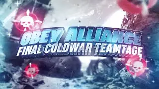 Obey: Final Cold War Sniping Teamtage