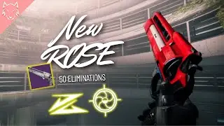 My NEW God Roll Rose SHREDS | Destiny 2