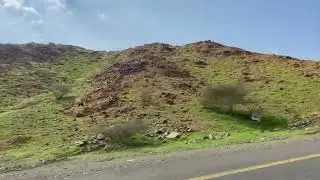 مقتطفات من ربيع البرزه ١٤٤٤هـ