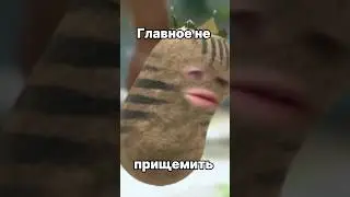 Главное не прищемить #sleduck #vtuber #twitch