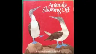 PAL Story Time - Animals Showing Off from Outdoor Education Adventures