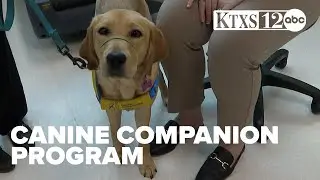 Canine Companion Program helps people with disabilities find independence