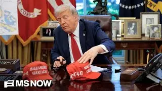 Ex-Trump WH official: Trump trying to 'manipulate' elections ahead of midterms