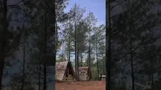 Bukit Sempu Dusun cowek Purwodadi pasuruan