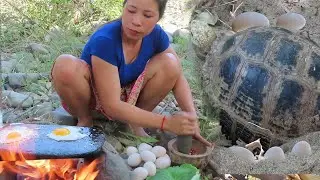 Survival skills primitive: Finding meet turtle eggs In the forest & burn for food #104