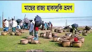 হাকালুকি হাওরের || মাছ ধরা || Hakaluki || কিভাবে যাবেন