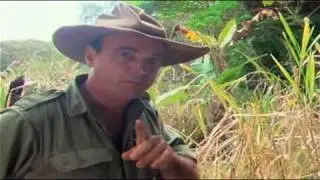 Bush Tucker Man - Cape York  part 1 of 3