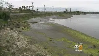 Study: Quake Could Sink Seal Beach Wetlands