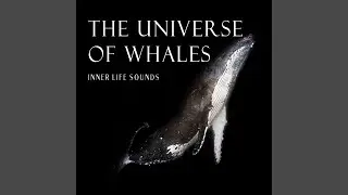 The Universe Of Whales, Inner Life Sounds