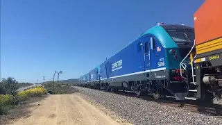 NCTD Coaster SC - 44 Charger delivery train at Laguna Niguel and more with 5006 - 5009. (+2 Amtraks)