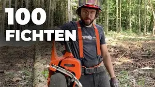 Denkweise von Waldbauer und Forstwirt | B&auml;ume f&auml;llen mit Motors&auml;ge und Holz r&uuml;cken mit R&uuml;ckewagen