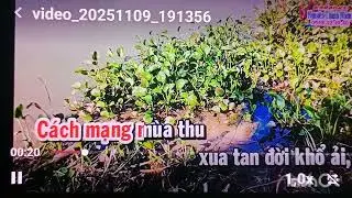 Ca cổ,,Hoa Mua Trắng,,123,,56,, dây đào non,, Minh Thành đờn Guitar & sến 