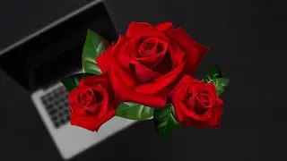 Request To Memorialize Or Remove An Account | Social Media