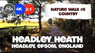 Headley Heath, England | Nature Walk #5