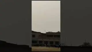 #Desi boy#viral #🏏🏏#sports#🔥🔥#video #
