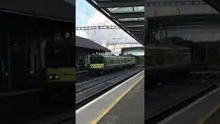 Dart train in bray
