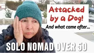 &ldquo;Dog Attack Abroad: Health Issues, Hungarian Healthcare & Why I&rsquo;ve Been Silent&rdquo;