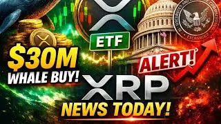 XRP News Today | Whale Buys $30M XRP, ETF Update & Ripple Breaking News