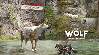 Wapiti Champion & More Hunts on NEW Yosemite Falls Map | The Wolf