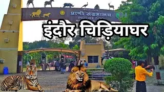 Indore Zoo Vlog | Kamla Nehru Prani Sangrahalaya | sok fafeurar | MadhyaPradesh Series 2025