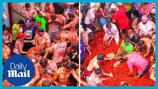 'Word's biggest food fight': Spain's famous tomato Tomatina festival is back