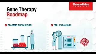 Gene Therapy Infographic