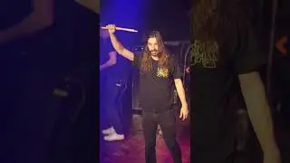 The best of Plaguefest 11