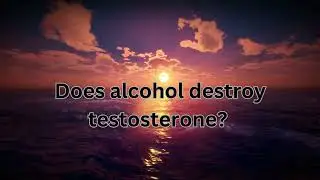 Can Alcohol Really Destroy Your Testosterone?