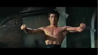 Bruce Lee Birthday Tribute