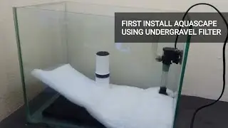 Step by Step Seting up Aquascape Using Undergravel Filter | UGF First Install