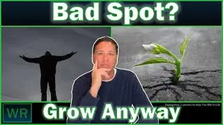 Bloom Where You&rsquo;re Planted: The Secret to Growing When Life Isn&rsquo;t Perfect |  Dadogram's WR 22