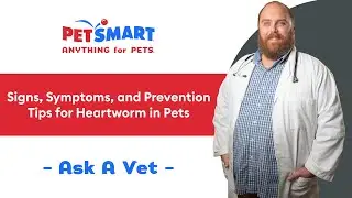 Signs, Symptoms, and Prevention Tips for Heartworm in Pets | PetSmart Veterinary Services