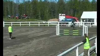 Fred &Ouml; vik 2007