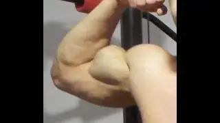 Triceps Workout and Flexing