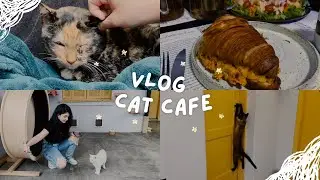 Vlog Cat Caf&eacute; em S&atilde;o Paulo: GATERIA | Cafeteria com MUITOS Gatinhos!